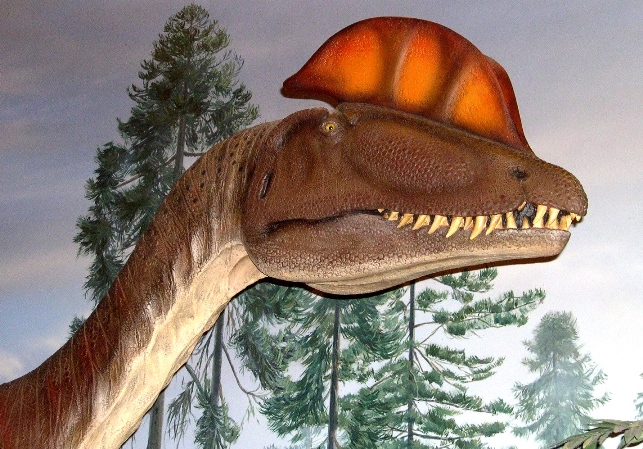 Dilophosaurus, the dinosaur believed to have made the tracks